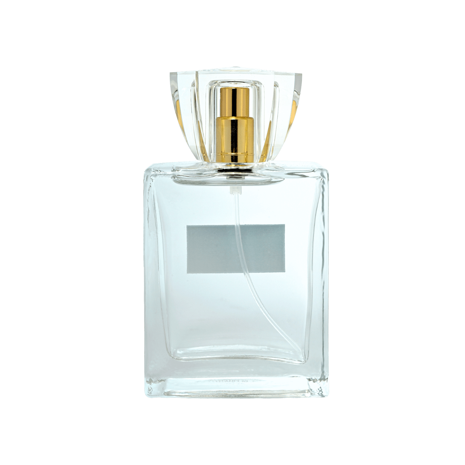 Absolu perfume - bottle (back view)